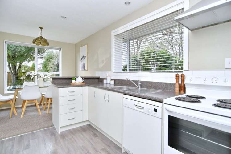 35 Trevor Street Hornby_8