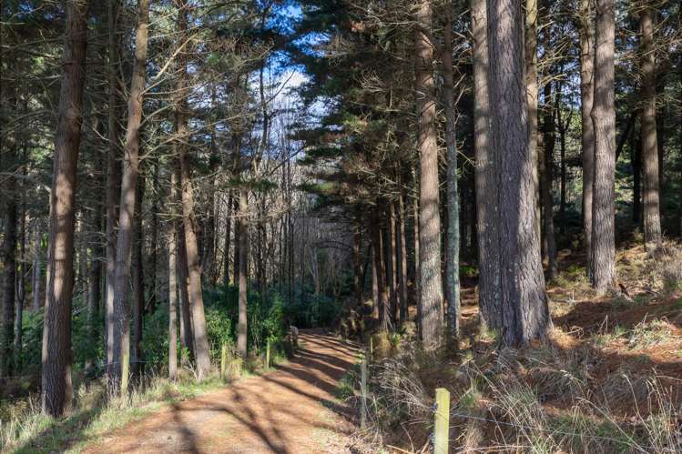 No 1 Line Pohangina_17