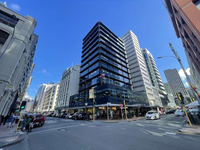 142 Featherston Street Wellington Central_1
