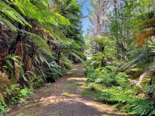 700 Burma Road Maraetotara_4