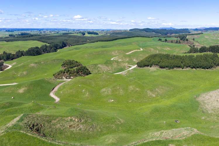 937 AB Wiltsdown Road South Waikato Surrounds_2