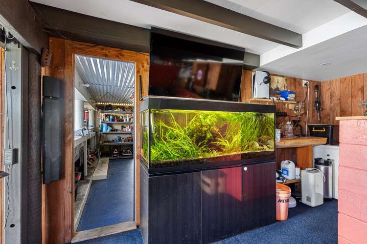 59b Toi Toi Street Toi Toi_15