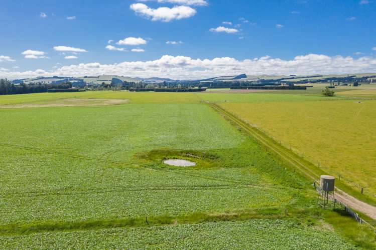 531 Murrays Road Hawarden_25