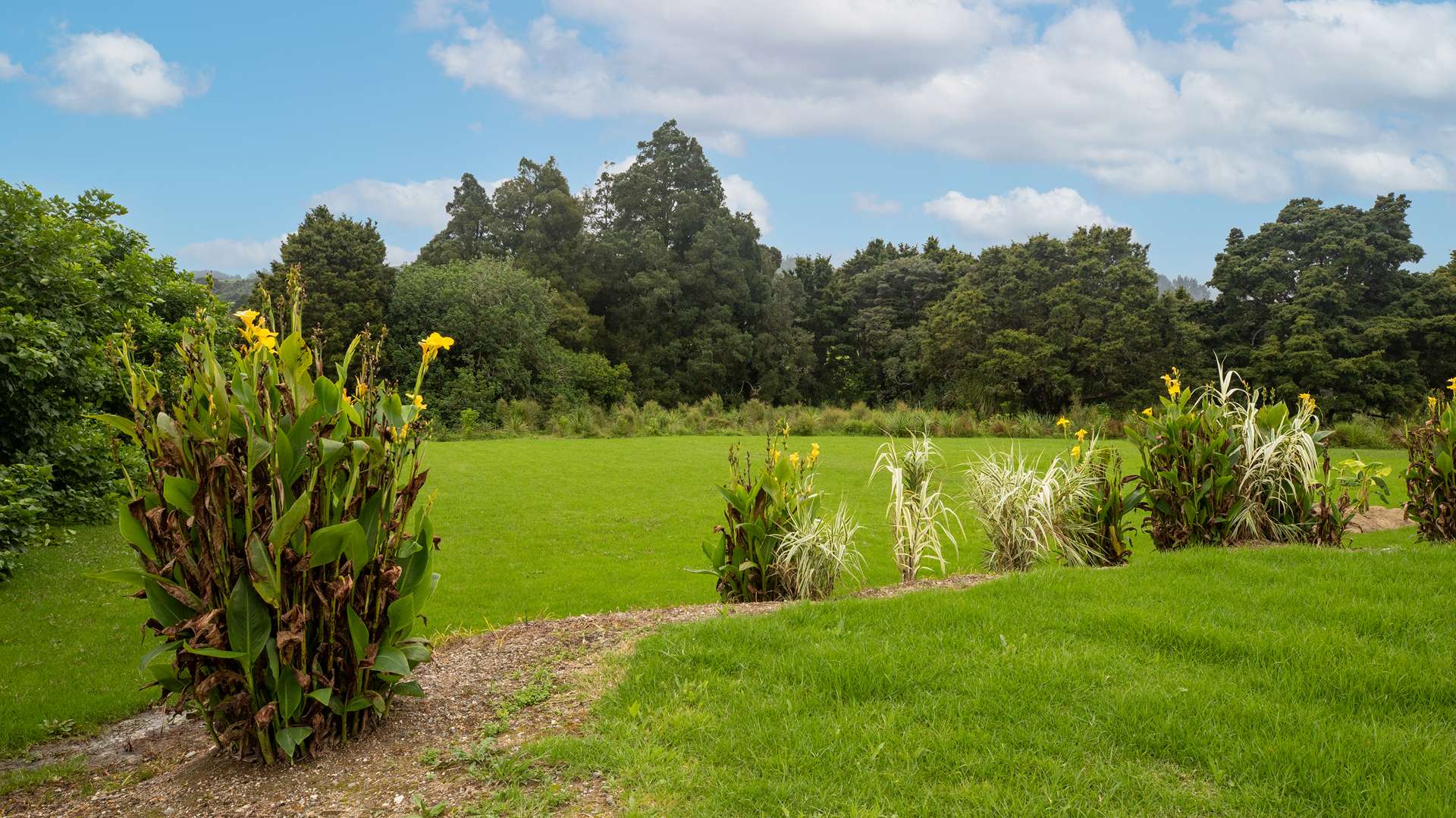 Lot 2/568 Brown Road Mangawhai_0