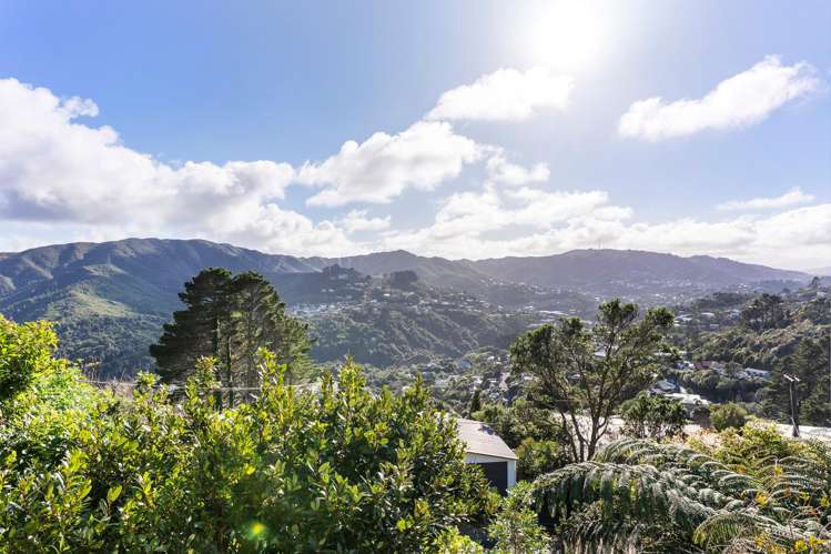 46 Huntingdon Street Northland_20