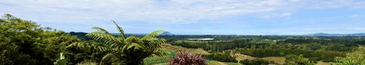 89 Whakamarama Road Whakamarama_24