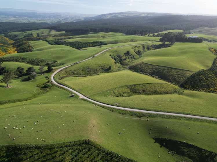 759 Waitahuna Gully Road Manuka Creek_16