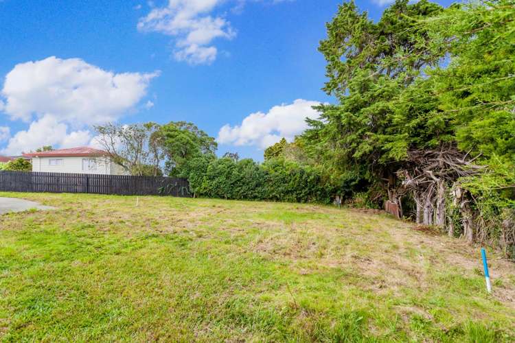 34b Toru Street Te Atatu Peninsula_0