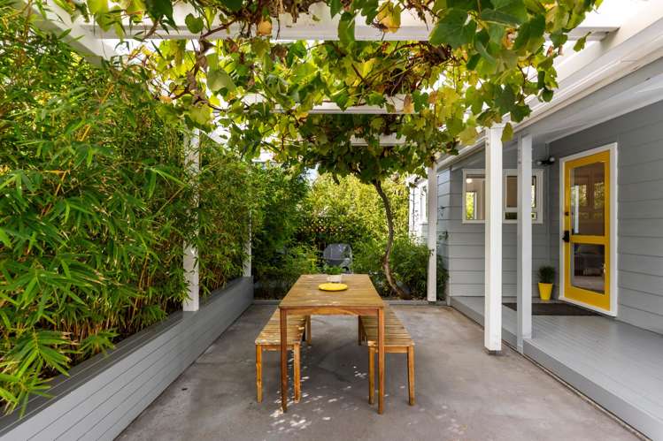 137 Aro Street Aro Valley_11