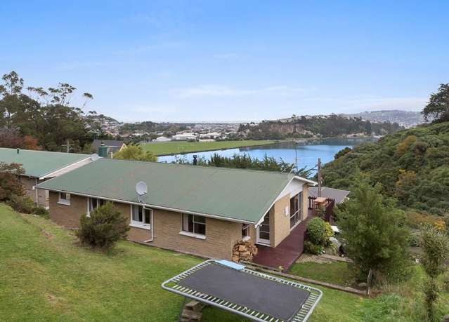 22 Larnach Road Waverley_1