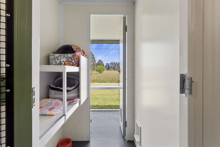 1891 South Eyre Road West Eyreton_20