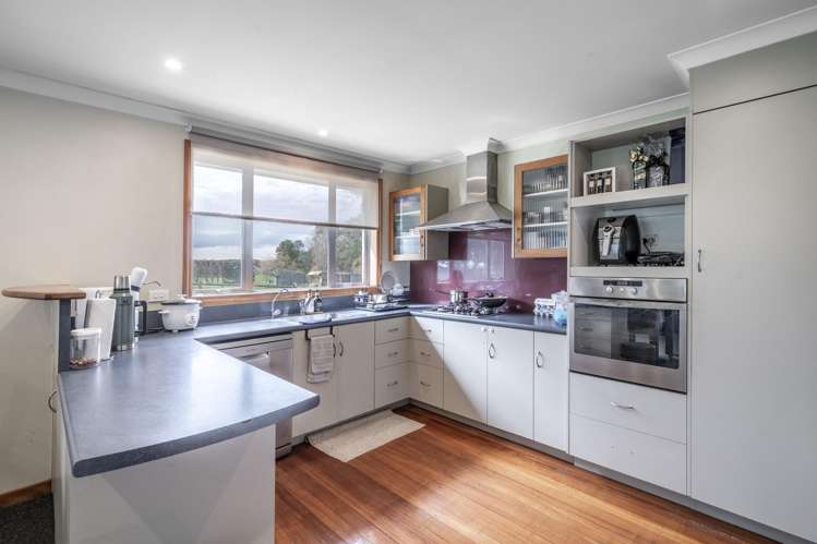 12 Shand Road, Farm 1 Rimu_11