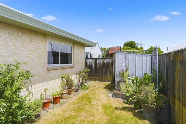 61B Winchester Street Levin_15