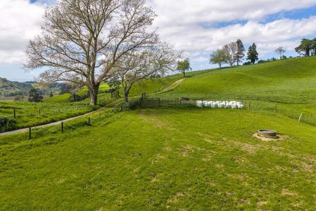166 Hill Road Cambridge_3