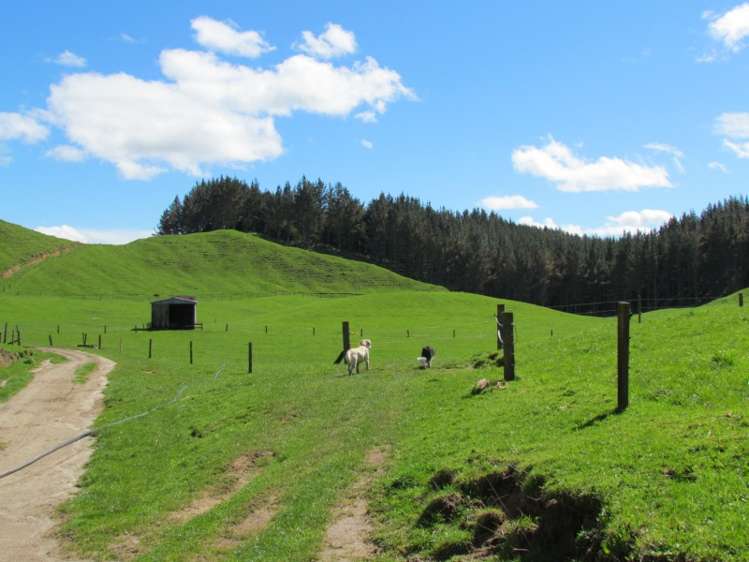 1840 Manawahe Road Manawahe_9