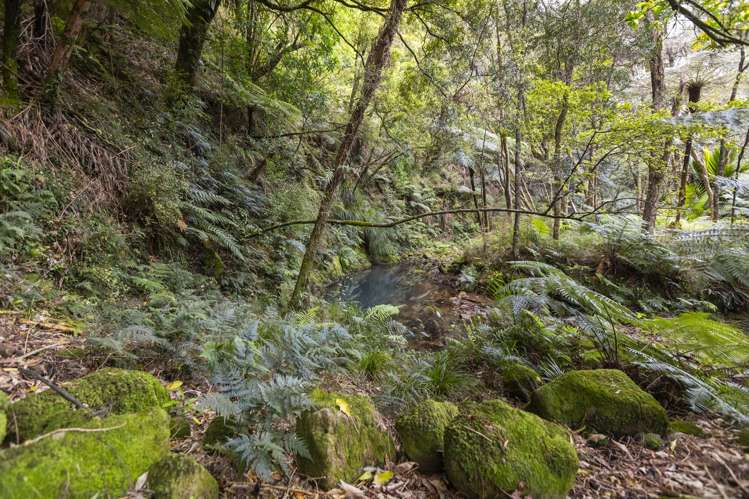 61 Spikes Way Whitianga_31