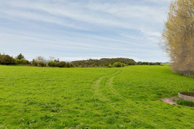 936 Pongakawa Bush Road Pongakawa_2