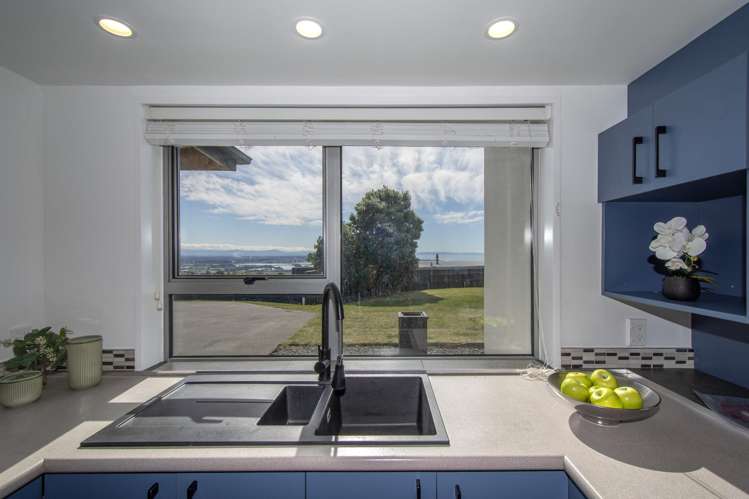147 Soleares Avenue Mount Pleasant_7