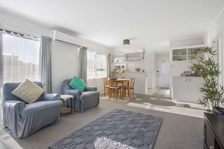 14C Boyd Street Katikati_4