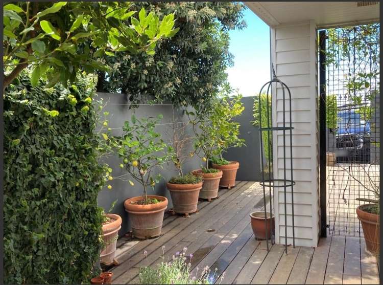 6 Dunkeld Lane Redcliffs_14