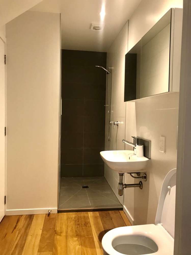 55a Powell Street Avondale_16