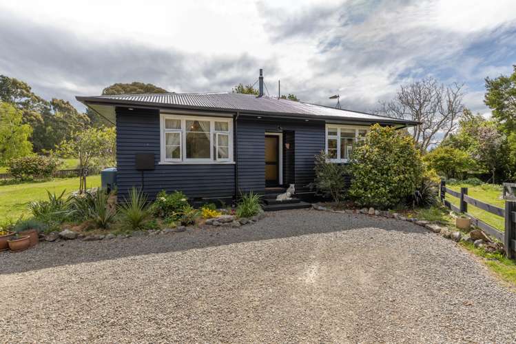 1327 Blythe Road Domett_14