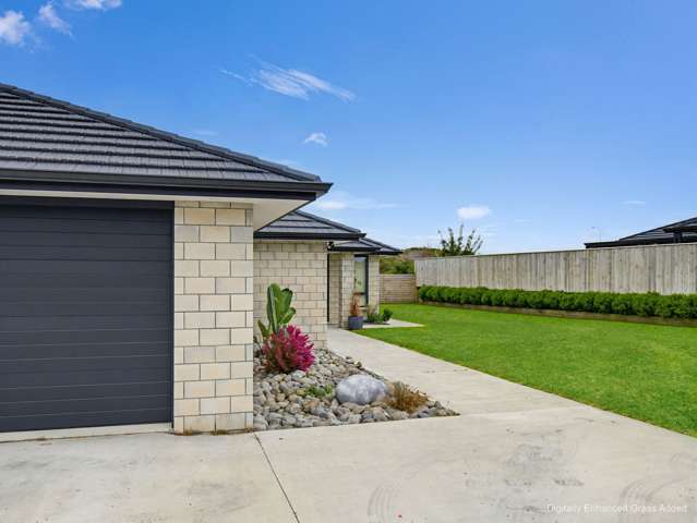 55 Tawhero Street Gonville_4