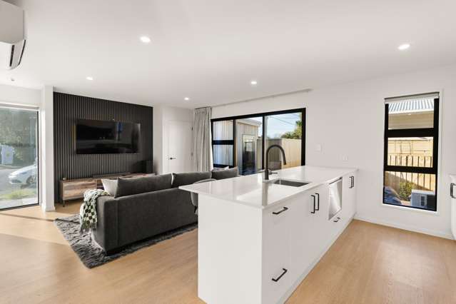 142a Neville Street Spreydon_4