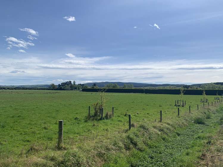 Dee Street West Otago Surrounds_4