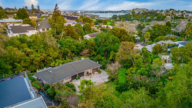 18b Impala Place Hillsborough_14