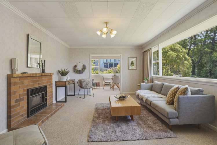 1 Ferntree Drive Wakari_6