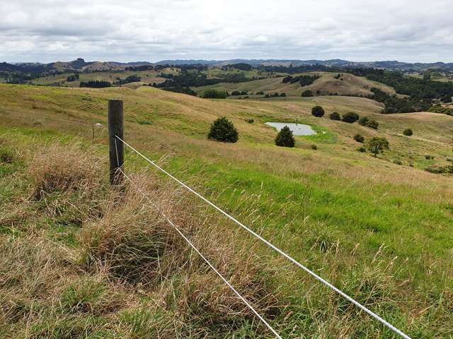 121 Whakapirau Road Maungaturoto_4