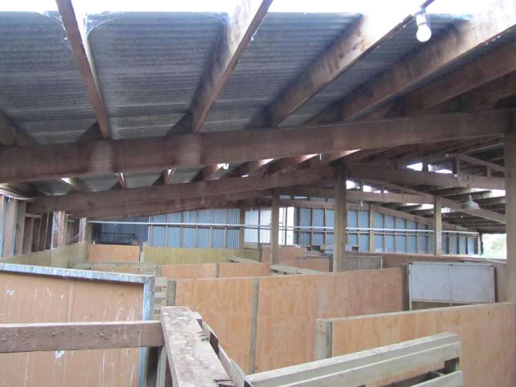 25 Keenan Road Tuatapere_8