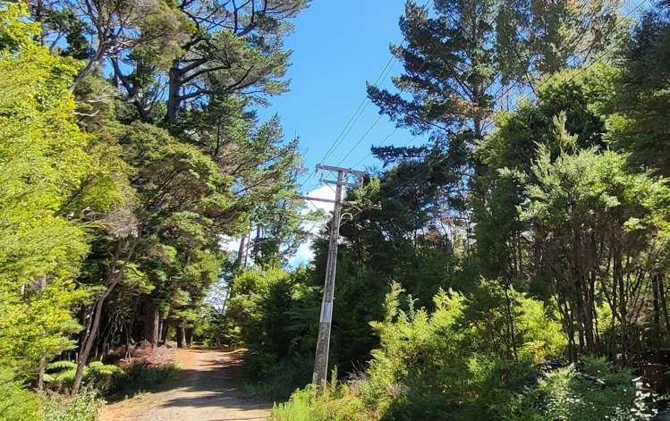 10 Wilson Avenue Kawau Island_10