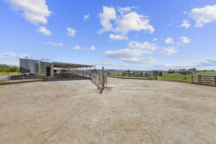 117 Meadway Road Ngahinapouri_11