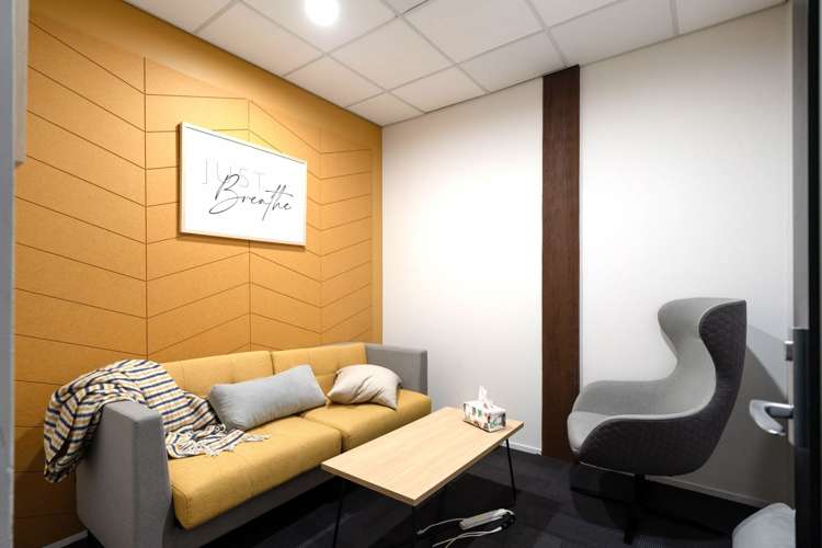 Part L1/125 The Strand Parnell_14