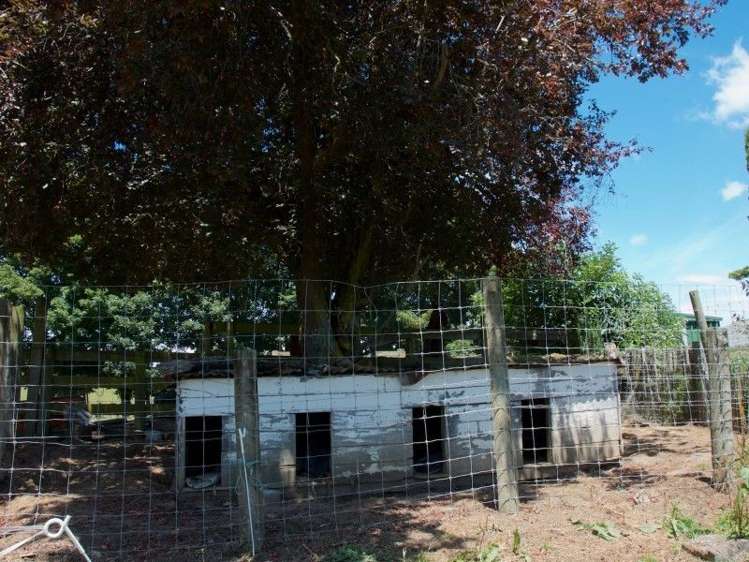 101 Papakai Road Taihape and Surrounds_12