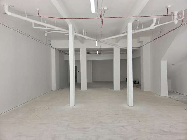 87 King Street Pukekohe_4