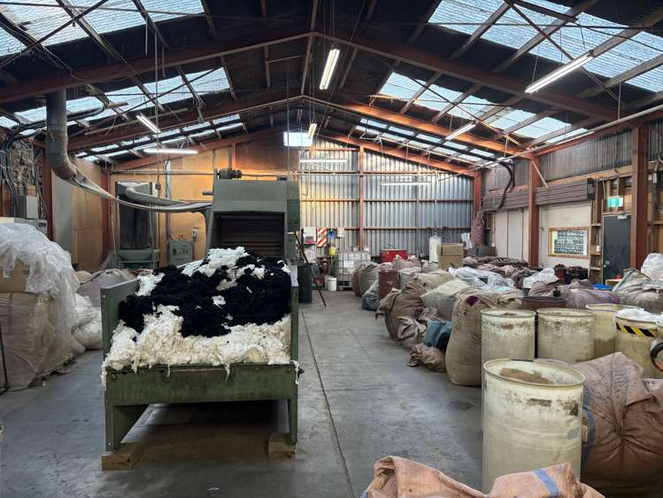 5 Husheer Place Onekawa_4