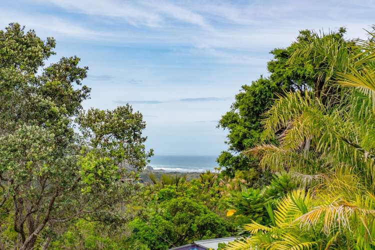 22 Tasman View Road Bethells Beach_4