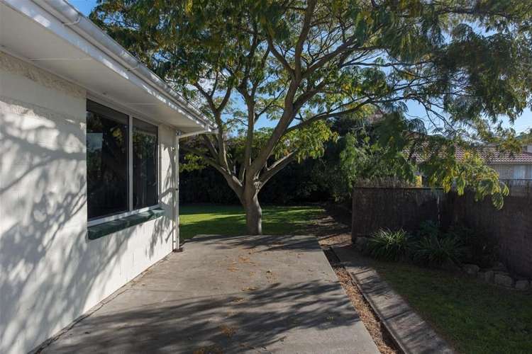 63a Howick Road Redwoodtown_14