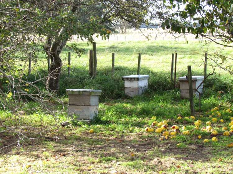 2246 Kahutara Road Kahutara_22