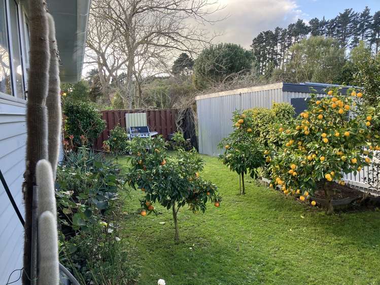 3 Heretaunga Road Rangitikei Surrounds_23