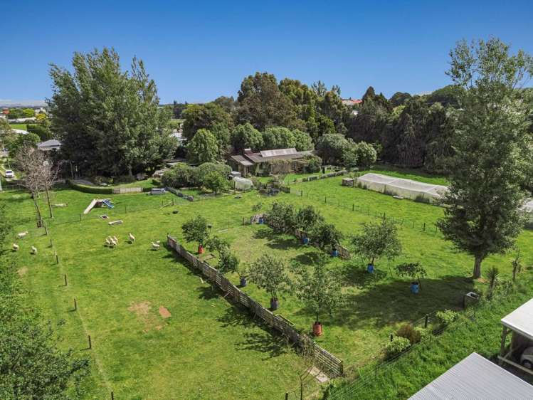 16 Cole Street Dannevirke_5