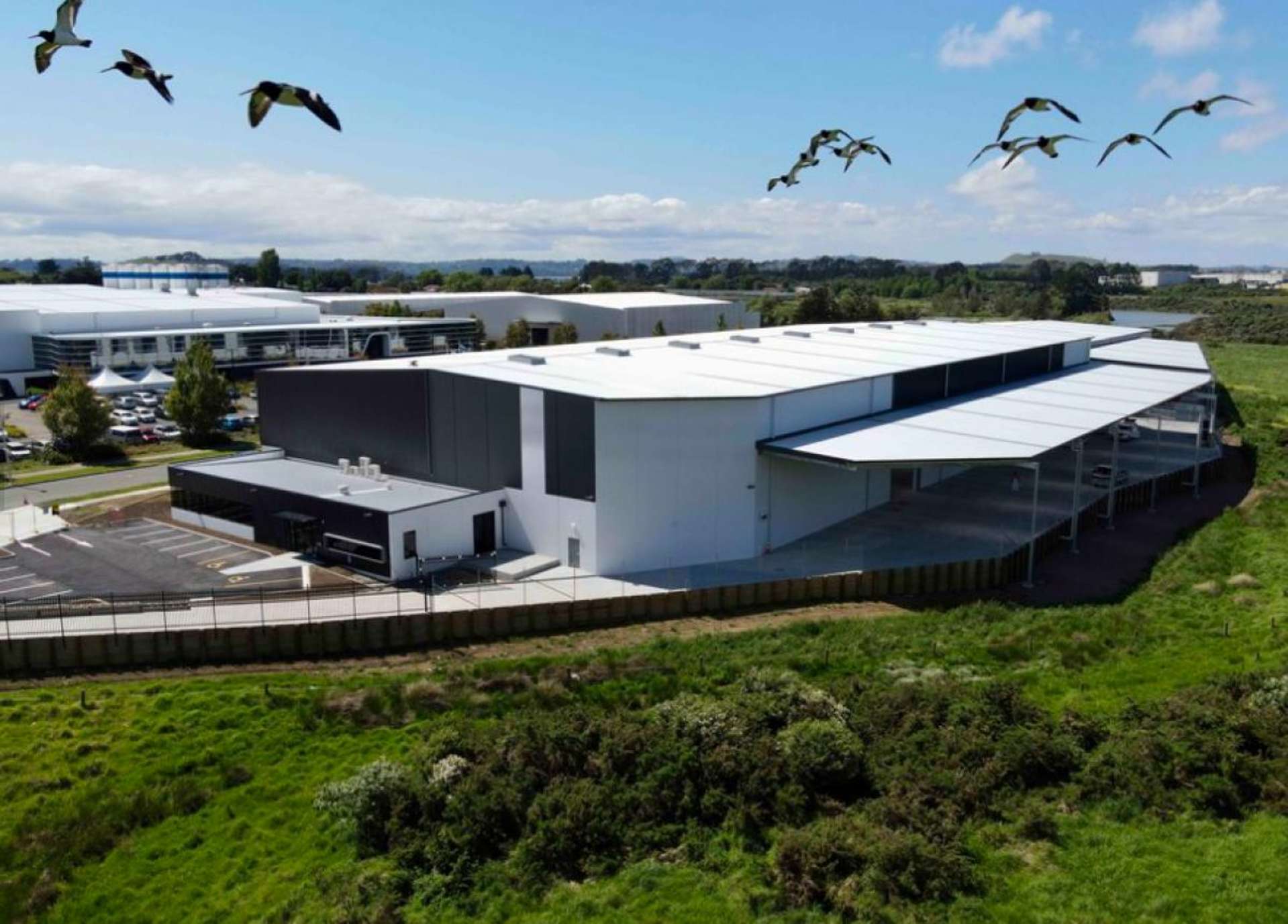 29 Sistema Way Mangere_0