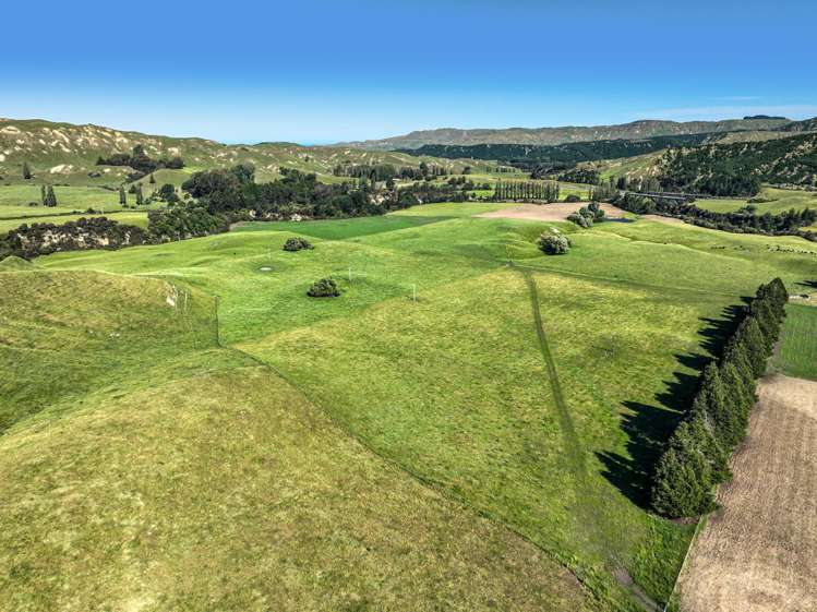 4551 Wairoa Road_0