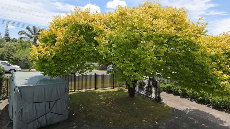 1/56 Woodglen Road Glen Eden_20