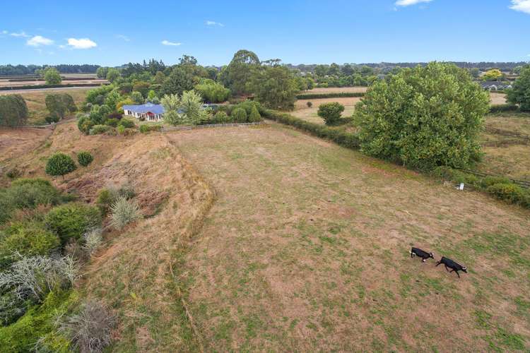 1105 Kaipaki Road Cambridge_18