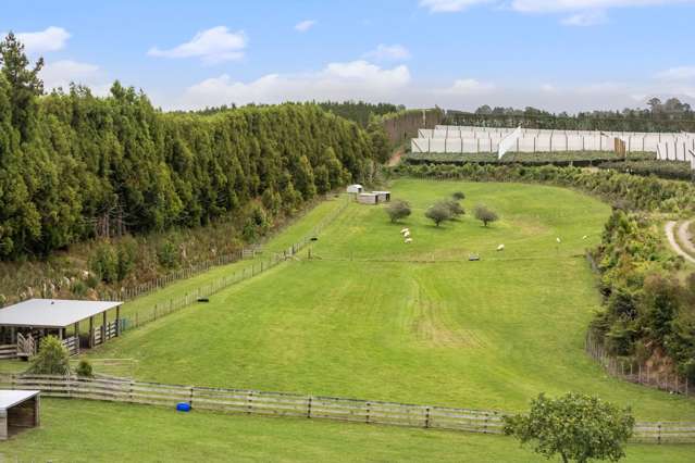 110 Tuapiro Road Katikati_3