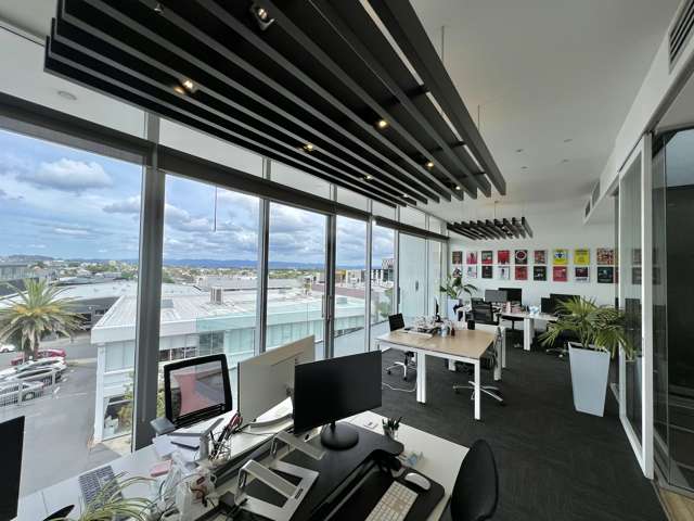 38 Ponsonby Road Grey Lynn_4